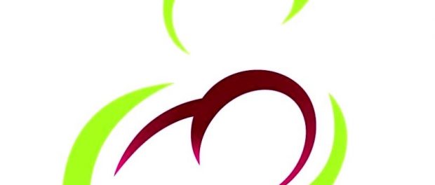 medvet logo 4